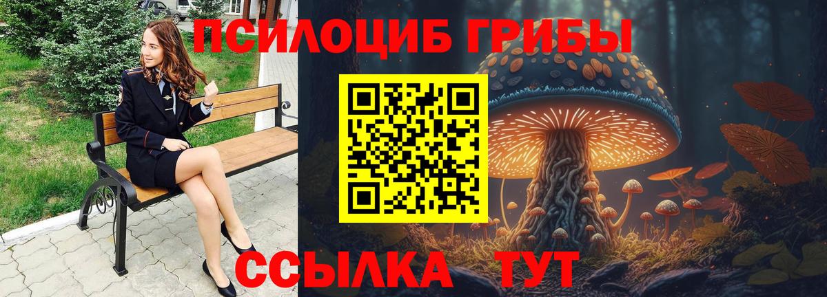 Псилоцибиновые грибы Magic Shrooms Павловский Посад